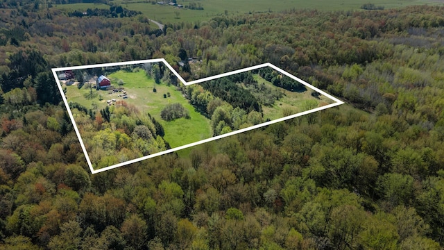 3771 E Loop Rd, Hesperia, MI 49421 - aerial overview of property's location with a forest