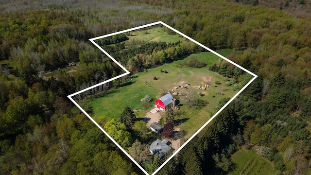 3771 E Loop Rd, Hesperia, MI 49421 - view of property location featuring a forest and property boundaries highlighted
