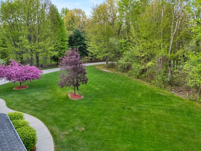 3135 Walnut Hls, Leonard, MI 48367 - view of grassy yard