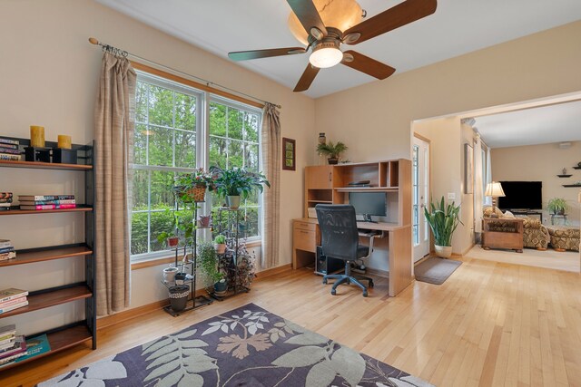 3135 Walnut Hls, Leonard, MI 48367 - office space featuring wood finished floors, plenty of natural light, a ceiling fan, and baseboards