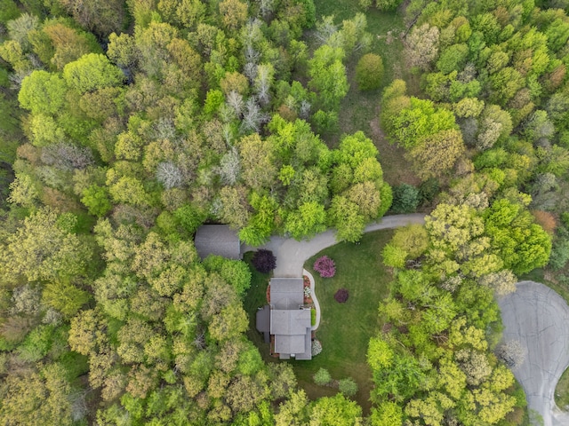 3135 Walnut Hls, Leonard, MI 48367 - aerial view of property's location