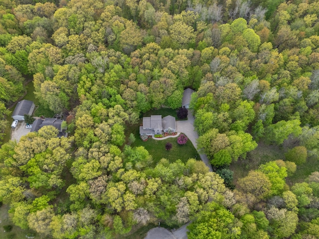 3135 Walnut Hls, Leonard, MI 48367 - aerial overview of property's location with a forest