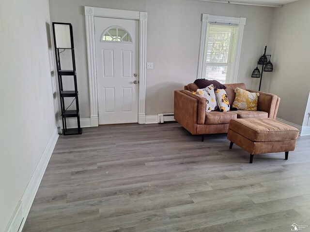 611 W Maumee St, Adrian, MI 49221 - photo 4