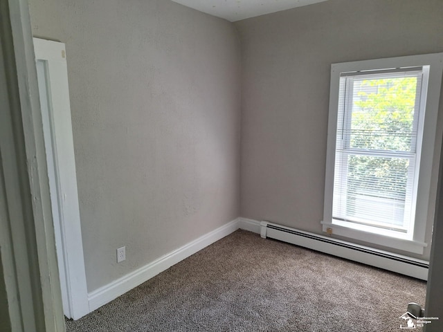 611 W Maumee St, Adrian, MI 49221 - photo 19