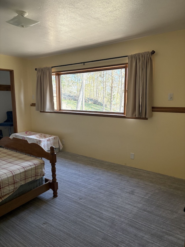 1548 Sunterra Trl, Boyne City, MI 49712 - bedroom featuring carpet and a textured ceiling