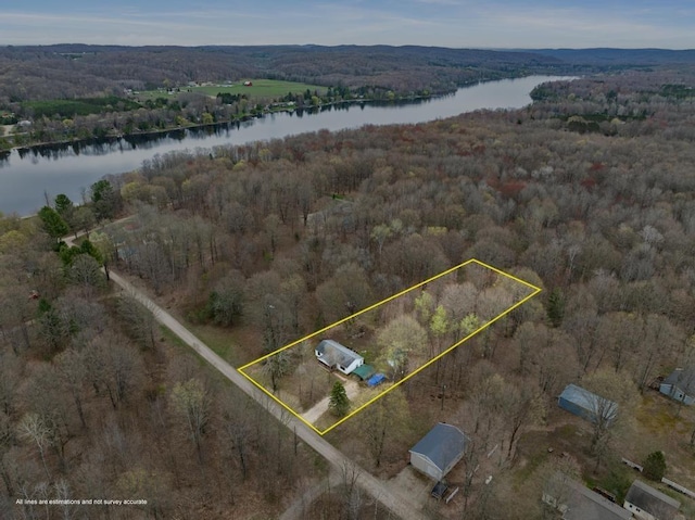 11420 Muskie Way, Ellsworth, MI 49729