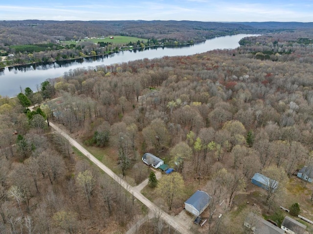 11420 Muskie Way, Ellsworth, MI 49729