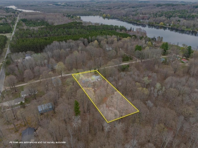 11420 Muskie Way, Ellsworth, MI 49729
