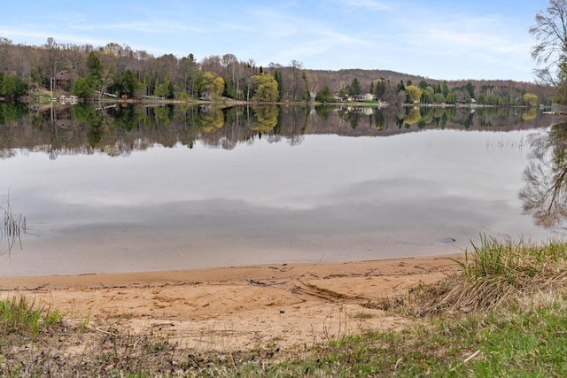 11420 Muskie Way, Ellsworth, MI 49729