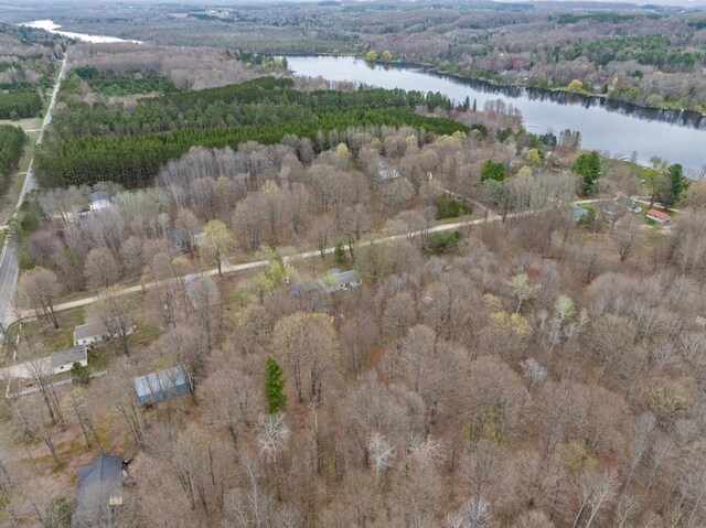11420 Muskie Way, Ellsworth, MI 49729