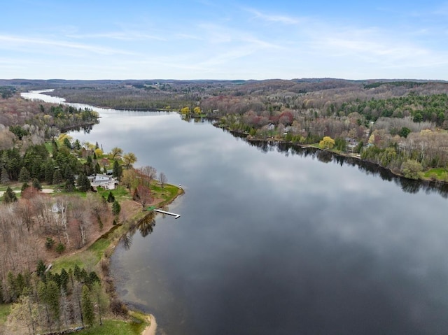 11420 Muskie Way, Ellsworth, MI 49729