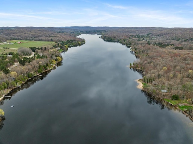 11420 Muskie Way, Ellsworth, MI 49729