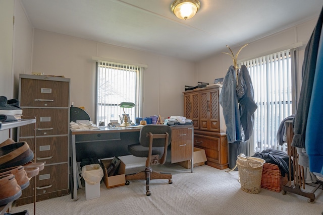 14424 Grenwich Ct, Shelby Twp, MI 48315 - carpeted home office featuring healthy amount of natural light