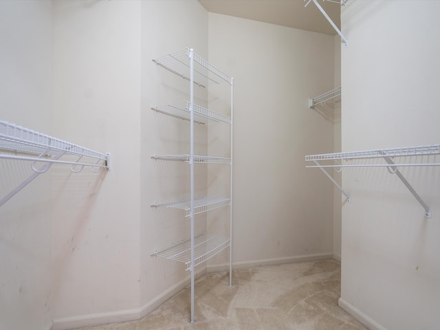 spacious closet featuring carpet floors