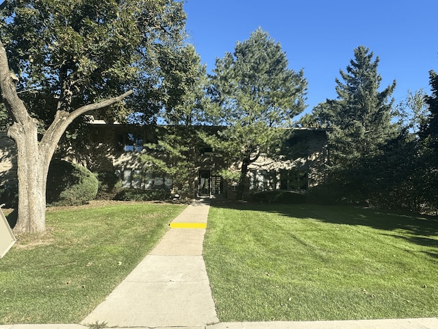 view of green lawn