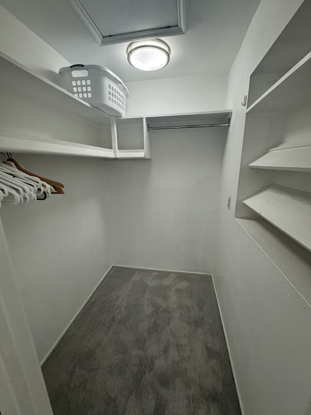 walk in closet featuring dark colored carpet