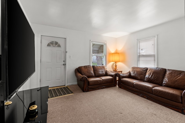 17041 Henry St, Melvindale, MI 48122 - carpeted living room featuring healthy amount of natural light