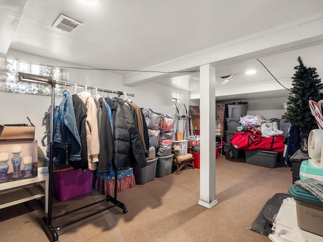 spacious closet with carpet