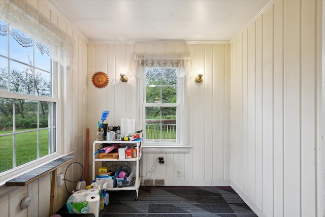 game room featuring healthy amount of natural light and wooden walls