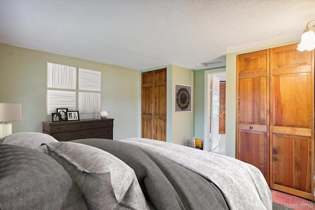 260 S Dexter St, Pinckney, MI 48169 - carpeted bedroom with a textured ceiling and multiple closets