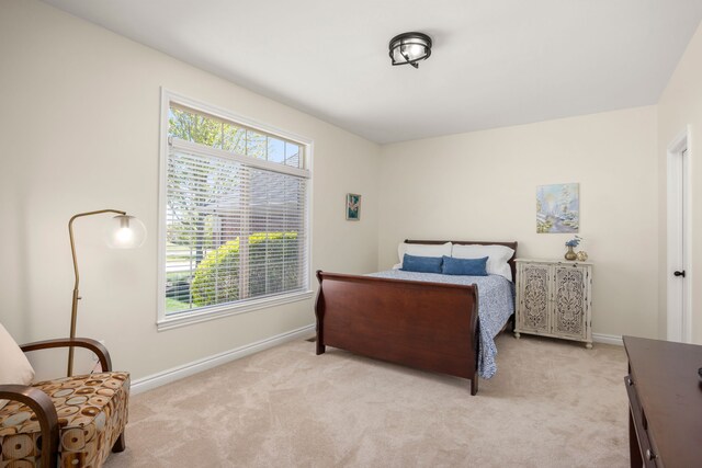 58651 Glacier Club Dr, Washington, MI 48094 - bedroom with light colored carpet and baseboards