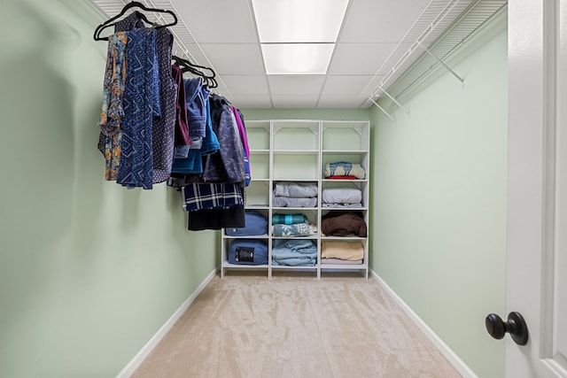 58651 Glacier Club Dr, Washington, MI 48094 - walk in closet with a paneled ceiling and carpet