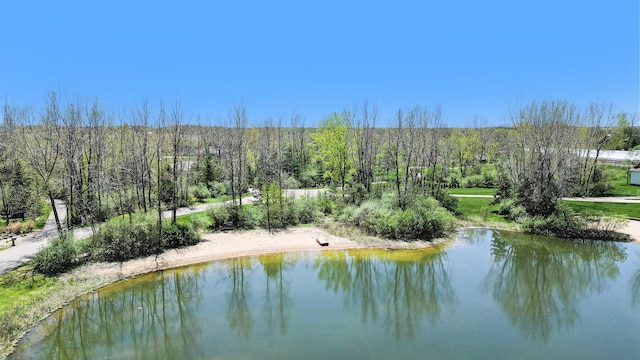 12250 Knoper Ct, Allendale, MI 49401 - water view featuring a forest