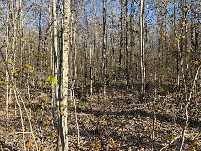 OFFOF N Reynolds Rd, Lake Ann, MI 49650