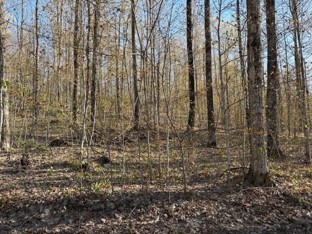 OFFOF N Reynolds Rd, Lake Ann, MI 49650