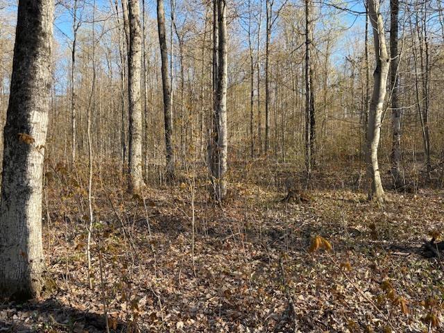 OFFOF N Reynolds Rd, Lake Ann, MI 49650