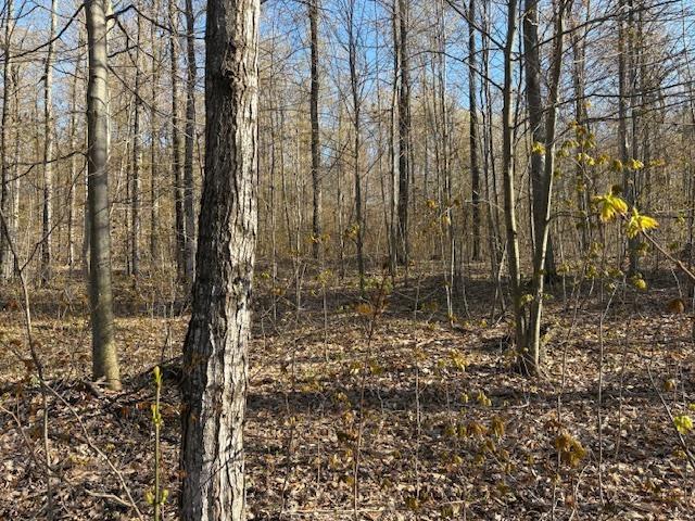 OFFOF N Reynolds Rd, Lake Ann, MI 49650