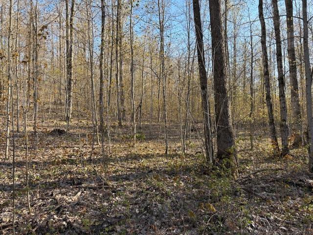 OFFOF N Reynolds Rd, Lake Ann, MI 49650