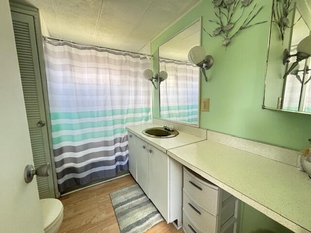 481 Maple Ln, Coldwater, MI 49036 - full bathroom featuring vanity, wood finished floors, curtained shower, and toilet