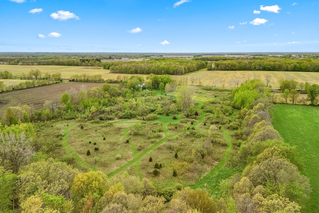465 Ridge Rd, Quincy, MI 49082 - view of rural area