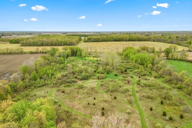 465 Ridge Rd, Quincy, MI 49082 - overview of rural landscape