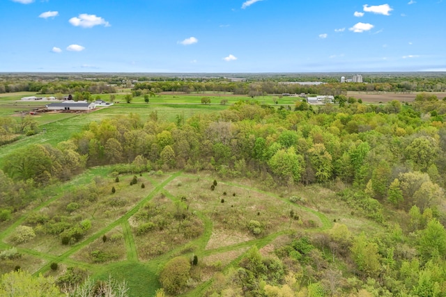 465 Ridge Rd, Quincy, MI 49082 - view of rural area