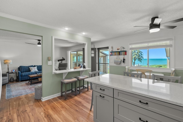 4150 Ridge Rd Unit 21And 22, Stevensville, MI 49127 - kitchen featuring ceiling fan, light wood-type flooring, ornamental molding, a textured ceiling, and gray cabinets