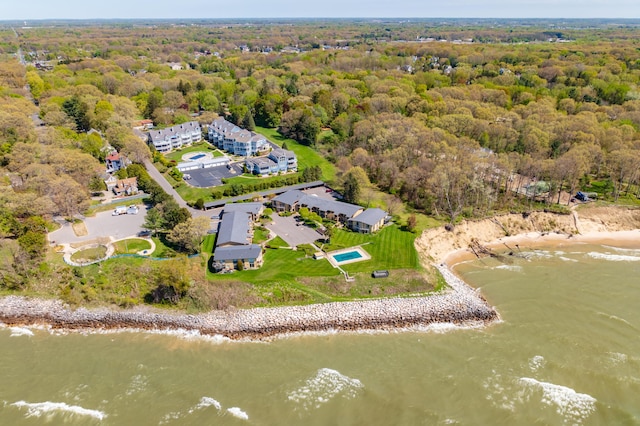 4150 Ridge Rd Unit 21And 22, Stevensville, MI 49127 - bird's eye view of a forest and a large body of water
