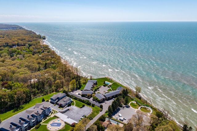 4150 Ridge Rd Unit 22, Stevensville, MI 49127 - bird's eye view of extended coastline and a forest
