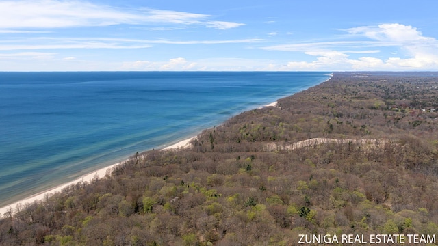 water view with local beach and a heavily wooded area