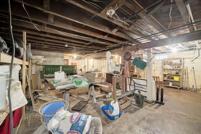 1621 W Beyer Rd, Ludington, MI 49431 - view of unfinished basement