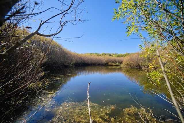 1621 W Beyer Rd, Ludington, MI 49431 - dock area with a water view and a view of trees