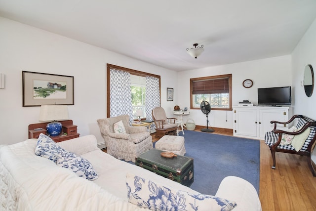 1621 W Beyer Rd, Ludington, MI 49431 - living area with wood finished floors and baseboard heating