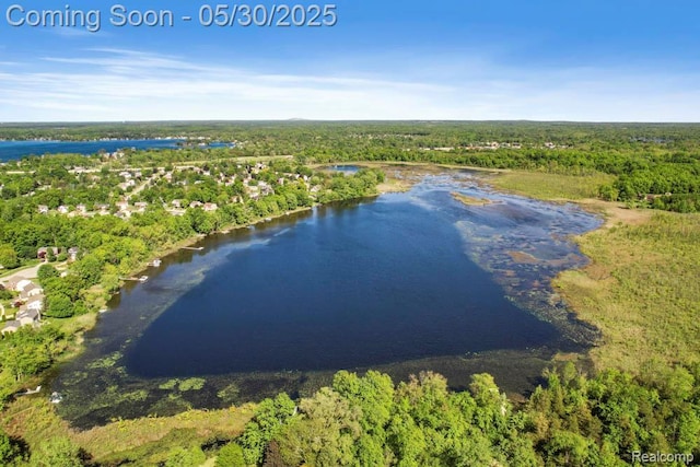9450 Sandlewood Ct, Whitmore Lake, MI 48189 - aerial view of a nearby body of water and a heavily wooded area