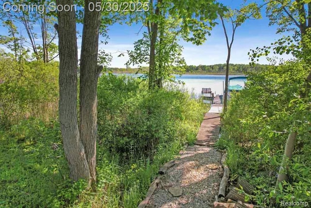 9450 Sandlewood Ct, Whitmore Lake, MI 48189 - view of yard with a water view and a dock