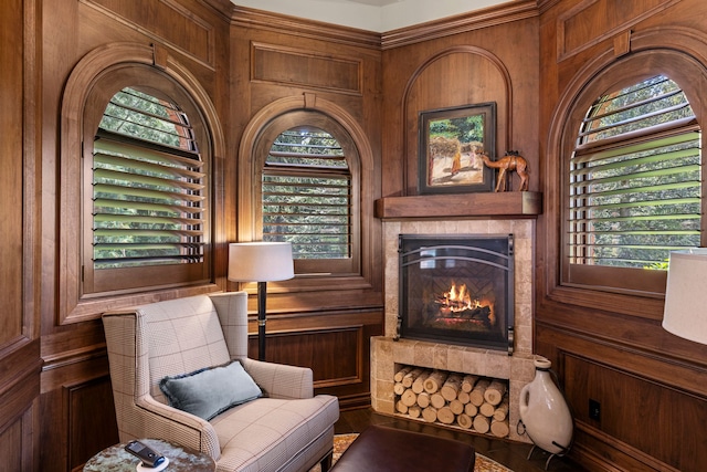living area with wood walls and a glass covered fireplace