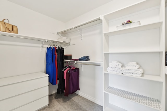 49793 Split Rock Rd, Macomb, MI 48044 - spacious closet featuring light colored carpet