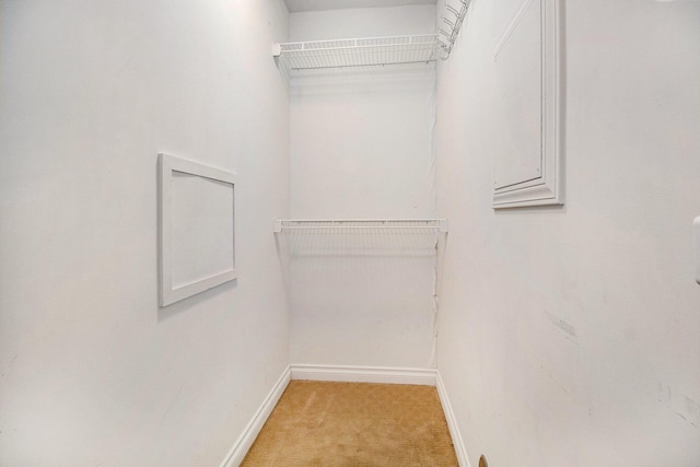 spacious closet with light carpet