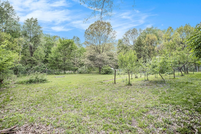 view of grassy yard