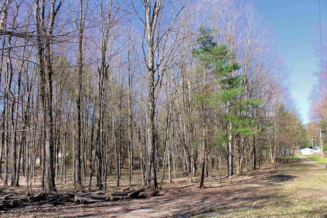 00 NE Chwastek Rd, Kalkaska, MI 49646